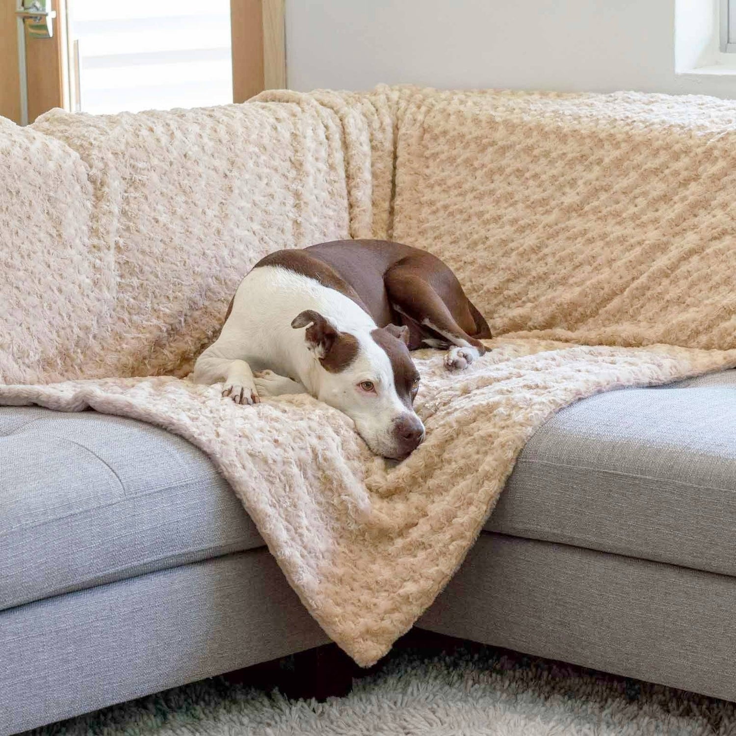 Blankets