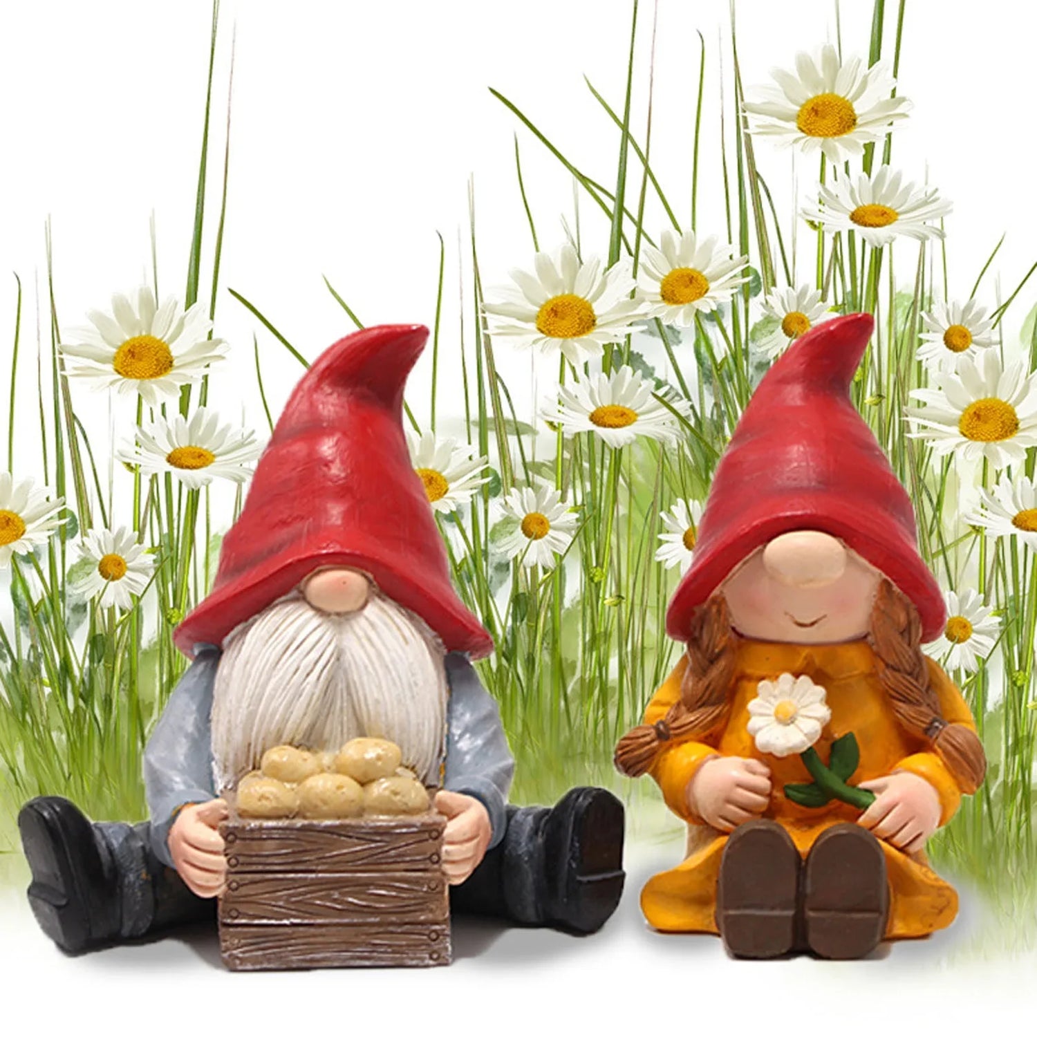 Gnomes